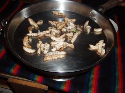 Salsa de gusano de maguey / Maguey worm sauce